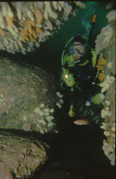 Diver at Creg y Jaghee, Isle of Man