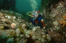 Diver at Fort Island, Isle of Man
