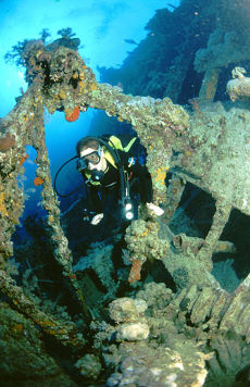 Diver on the <i>Ulysees</i>