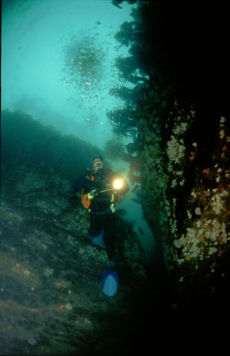 Diver at Stack Fine, Isle of Man