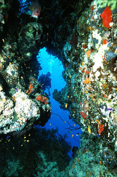 Little Reef, Southern Egyptian Red Sea