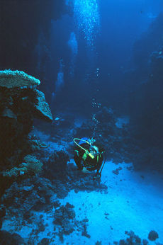 Malahi, Southern Egyptian Red Sea