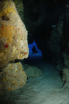 Swim through, Maria La Gorda, Cuba