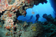 Coral Swim-through, Maria La Gorda