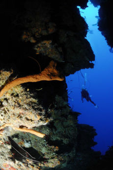 Tunnel onto the reef wall, Maria La Gorda