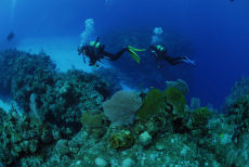 Top of the reef, Maria La Gorda