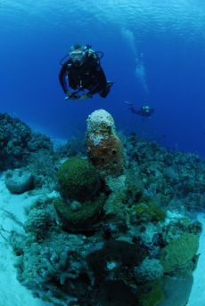 Diver on the fore-reef, Maria La Gorda