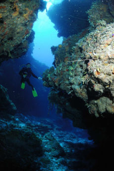 Swim-through, Maria La Gorda