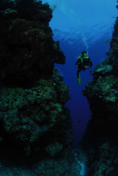Channel from Reef Wall, Maria La Gorda