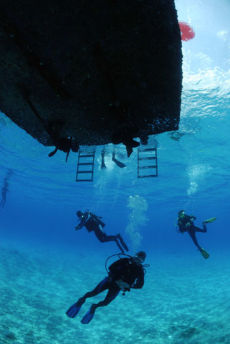 Ascending from the fore-reef, Maria La Gorda