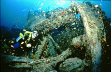 Stern of the <i>Thistlegorm</i>