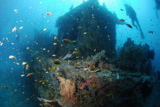 Fesdu Wreck