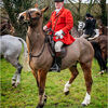 Master of the Fox Hounds - Charlton near Chichester