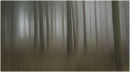 7 - Peakhill in mist