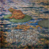 #13 Frogs (Amphibians) - Partial transition of vertebrates from water to land