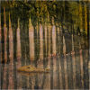 #15 Crocodile in tropical rain forest
