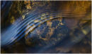 15 - Sigmoidal flow