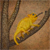 #16 Chameleon catching a fly