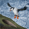 #18 Puffin - adapted to water (swimming), air (flight) and land.