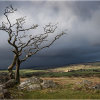 Storm approaching Combestone Tor