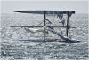 America's Cup - Aleph capsized