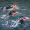 Blue Mile Race - Final stages