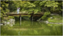 Bridge of tranquility