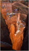 Hoodoos in Bryce Canyon