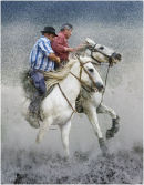 Camargue riders