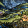 Autumn colours in the River Plym