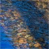Autumn colours in the River Plym
