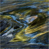 Autumn colours in the River Plym