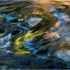 Autumn colours in the River Plym