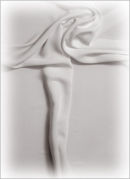 Figure in the folds