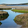 Fishing net posts in the salt marsh - Teifi estuary, Wales