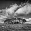 High winds over Hanger Down - Dartmoor