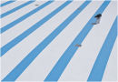 Painting the pool - Tinside
