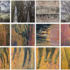 Palette of source images