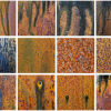 Palette of source images