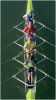 Quad sculling