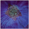 Triptych - Red onion set