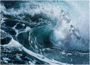 White horses