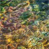 Nature's intertidal gems #9