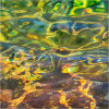 Nature's intertidal gems #1