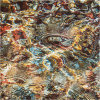 Nature's intertidal gems #3