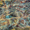 Nature's intertidal gems #8