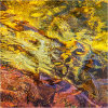 Nature's intertidal gems #14