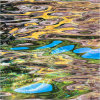Nature's intertidal gems #16