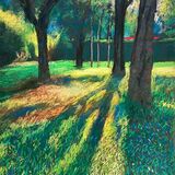 Sunlit grove
