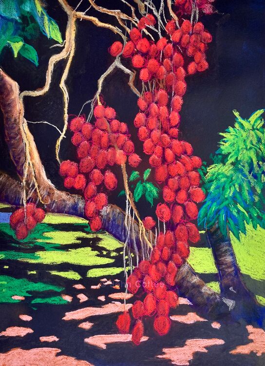 Lychees